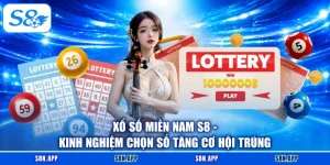 Xổ Số Miền Nam S8 - Kinh Nghiệm Chọn Số Tăng Cơ Hội Trúng
